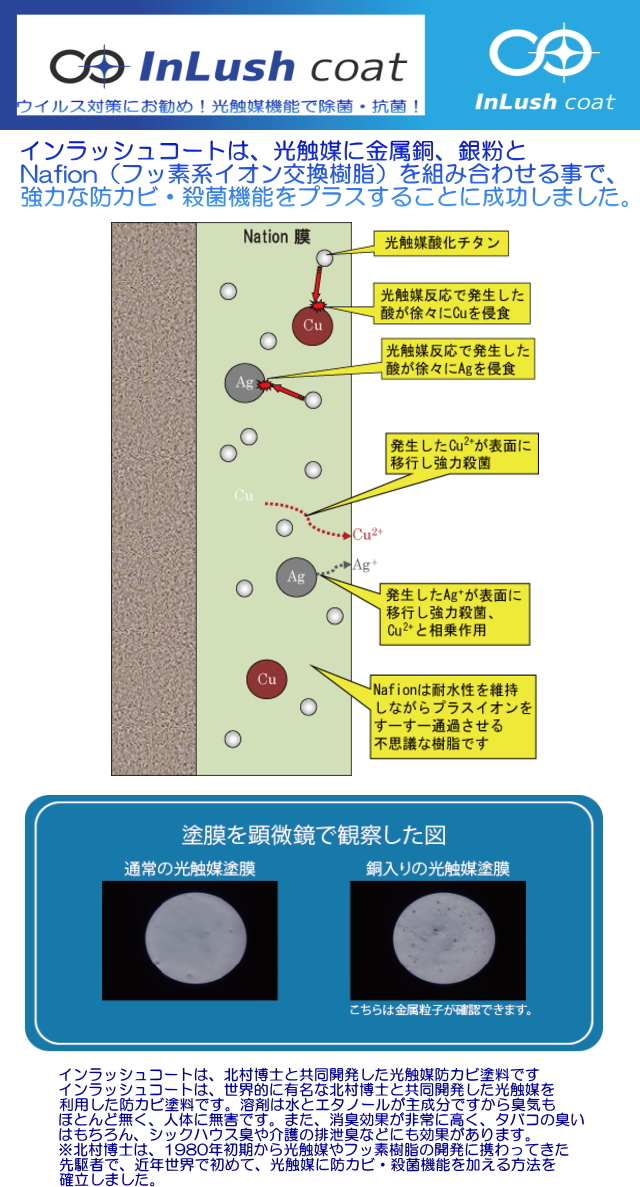 インラッシュコート