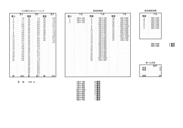 外壁調査　報告書