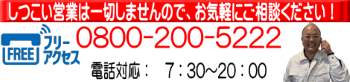 フリーアクセス　無料通話　0800-200-5222