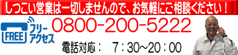 フリーアクセス　無料通話　0800-200-5222