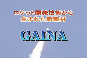 GAINA　ガイナ